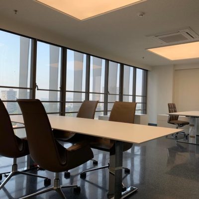 Corporate Smart Office Consultant